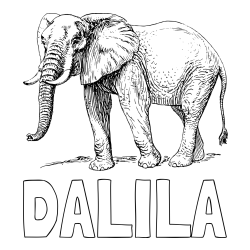 Online izdelana pobarvanka - Pobarvanka imena DALILA in pobarvanka mogočnega slona