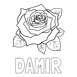 Online izdelana pobarvanka - Pobarvanka imena DAMIR in pobarvanka vrtnice