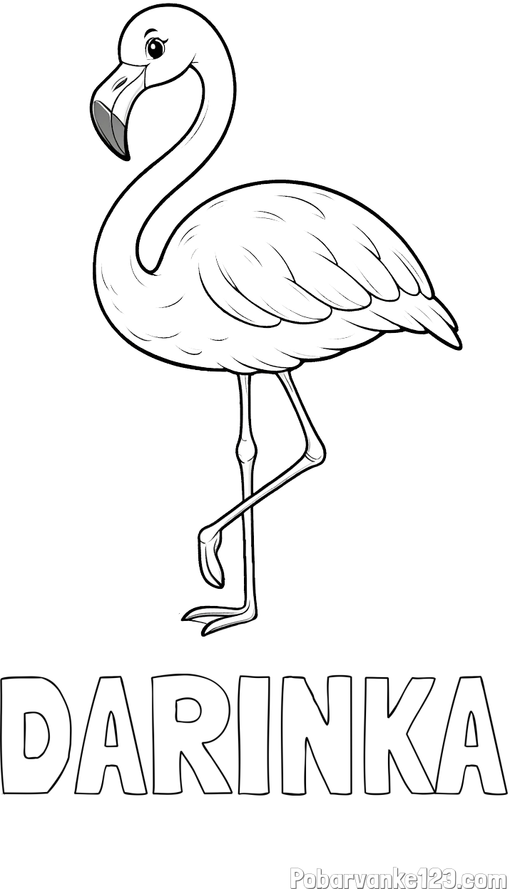 Pobarvanka imena DARINKA in pobarvanka flaminga