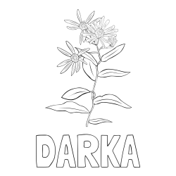 Online izdelana pobarvanka - Pobarvanka imena DARKA in pobarvanka cvetlice
