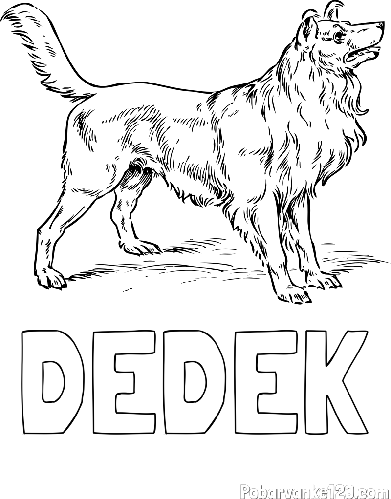 Pobarvanka imena DEDEK in pobarvanka prikupnega in prijaznega kužka