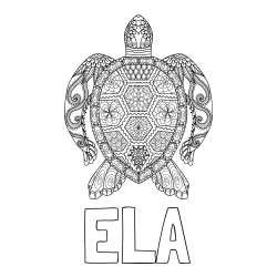 Pobarvanka imena ELA in pobarvanka želve - mandale