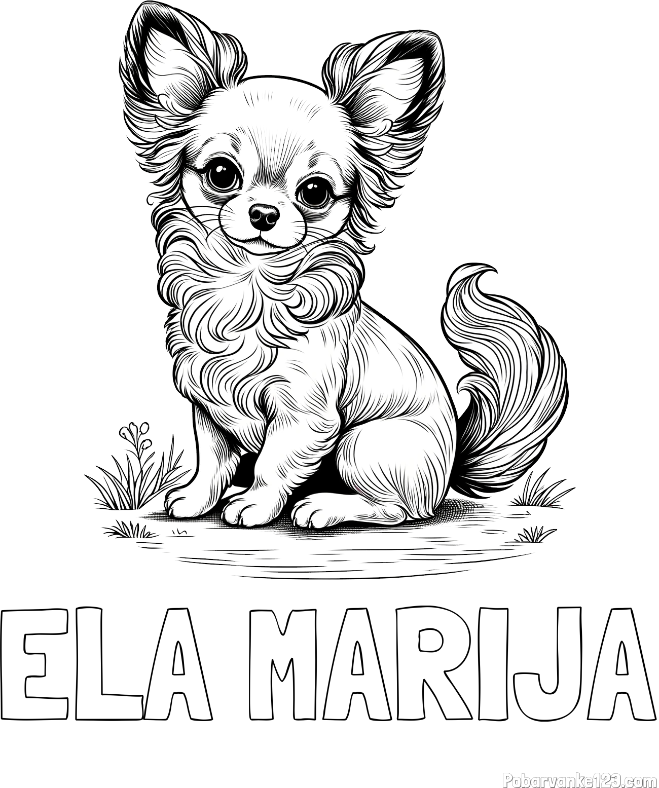 Pobarvanka imena ELA MARIJA in pobarvanka ljubke čivave