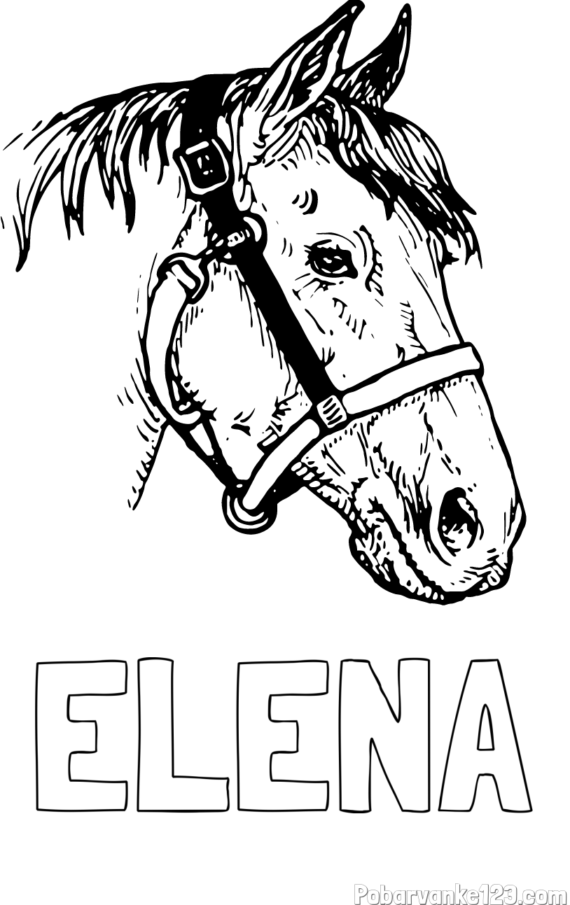 Pobarvanka imena ELENA in konjska glava