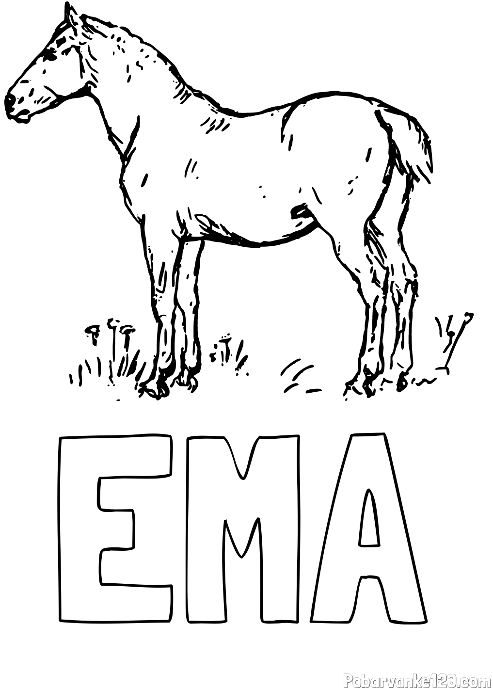 Pobarvanka imena EMA in pobarvanka konja na travi