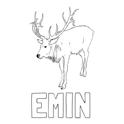 Online izdelana pobarvanka - Pobarvanka imena EMIN in pobarvanka velikega jelena