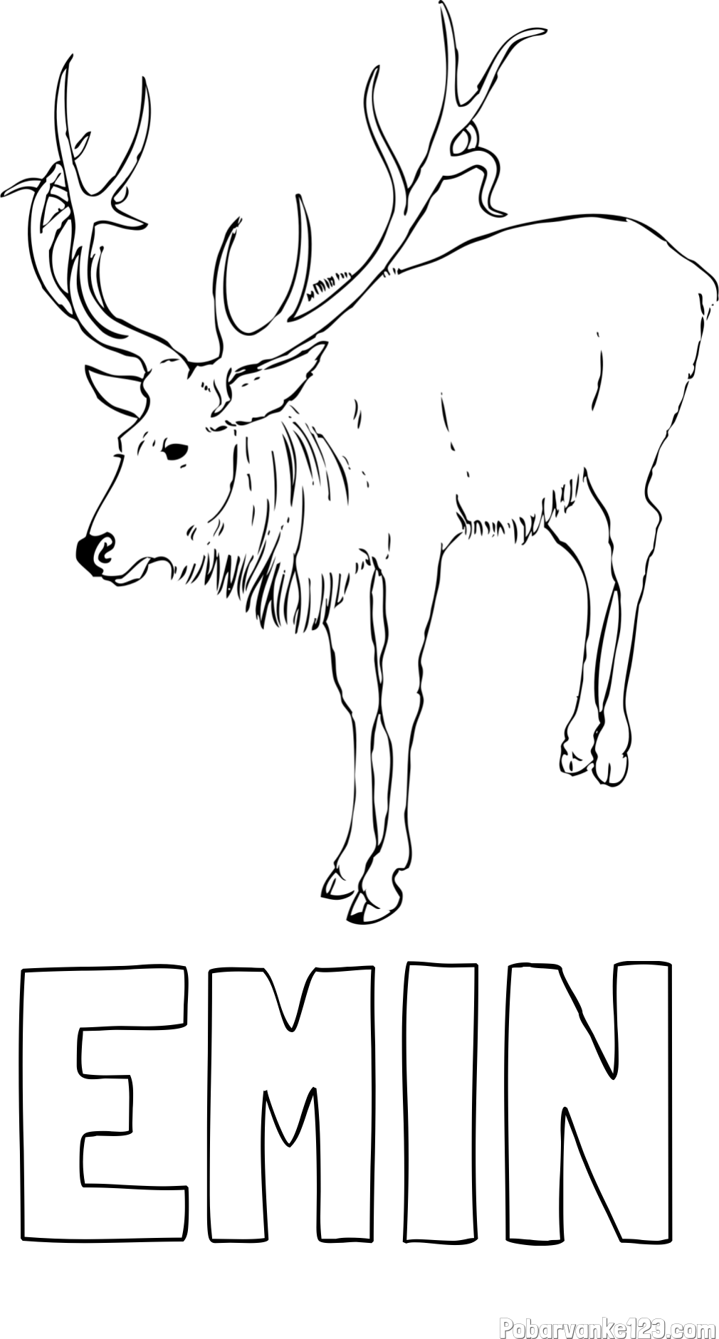 Pobarvanka imena EMIN in pobarvanka velikega jelena