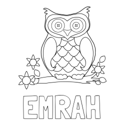 Online izdelana pobarvanka - Pobarvanka imena EMRAH in pobarvanka sove