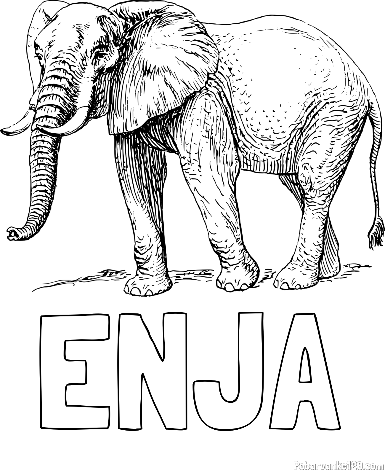 Pobarvanka imena ENJA in pobarvanka mogočnega slona