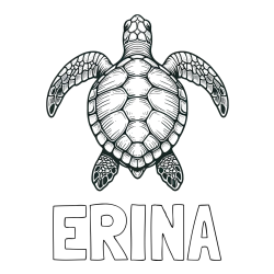 Online izdelana pobarvanka - Pobarvanka imena ERINA in enostavna pobarvanka želve