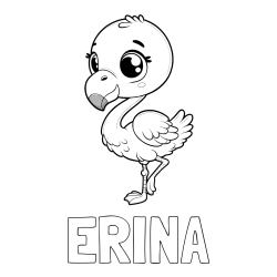 Online izdelana pobarvanka - Pobarvanka imena ERINA in otroška pobarvanka flaminga
