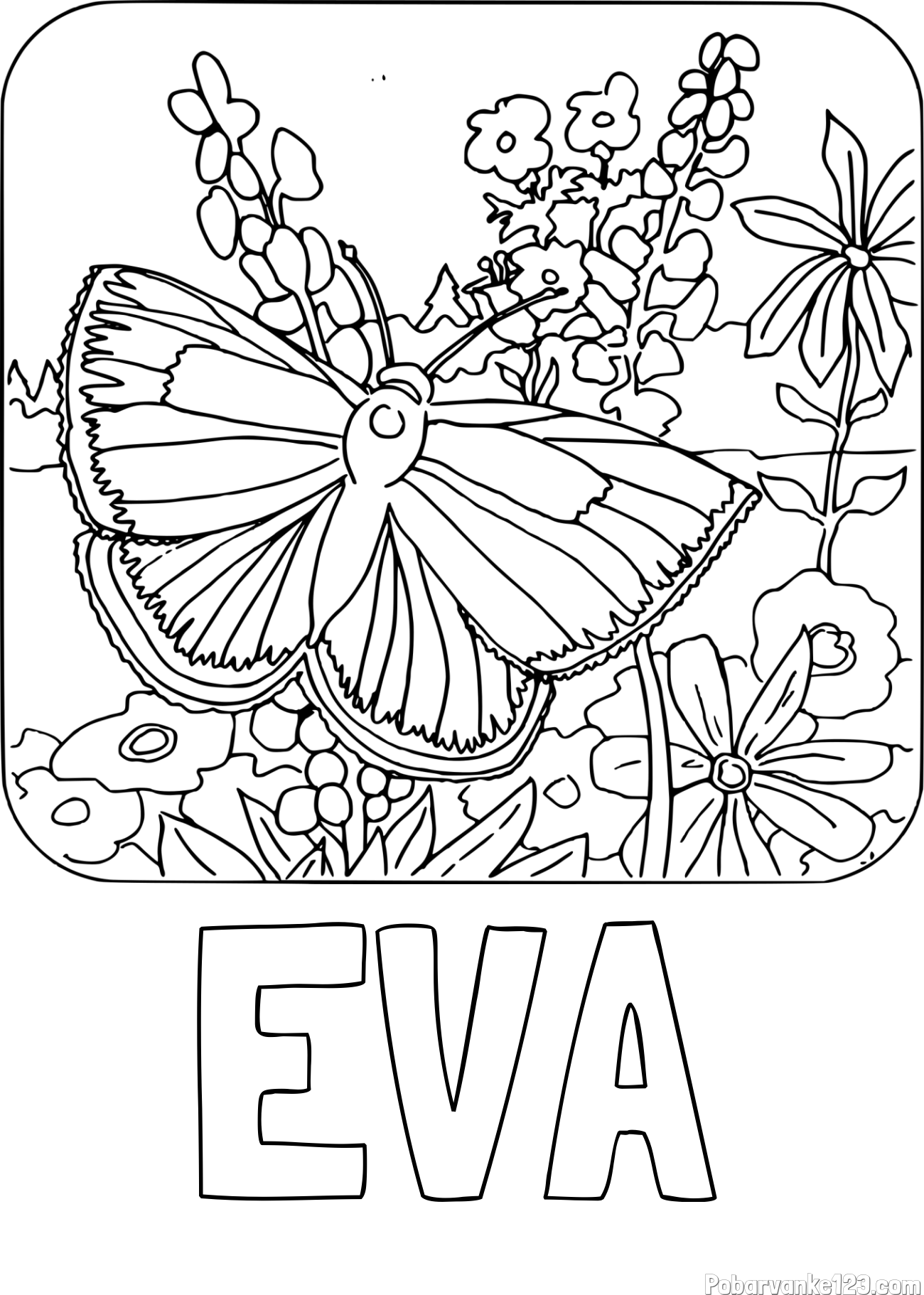 Pobarvanka imena EVA in pobarvanka metulja v naravi
