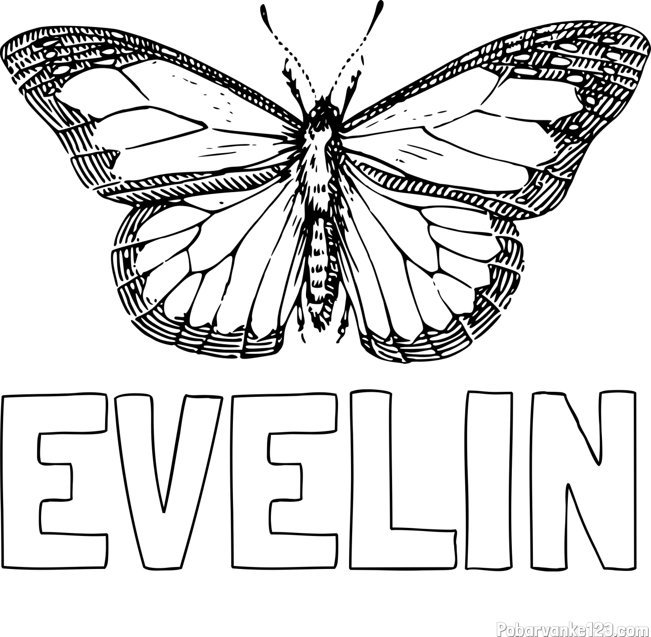 Pobarvanka imena EVELIN in pobarvanka metulja
