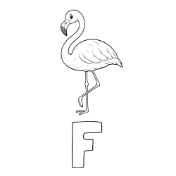 Online izdelana pobarvanka - Pobarvanka imena F in pobarvanka flaminga
