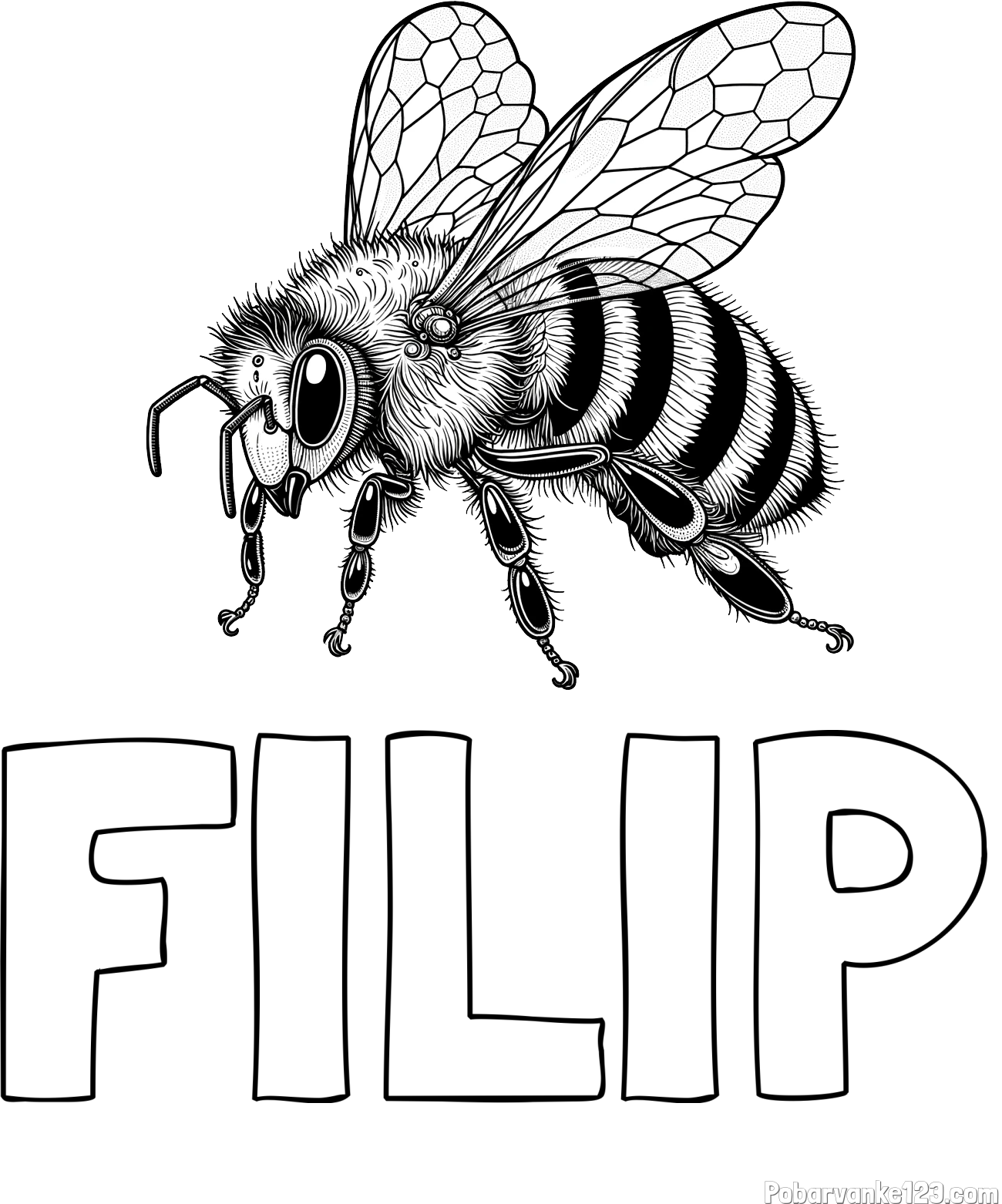 Pobarvanka imena FILIP in pobarvanka lepe in realistično oblikovane čebele