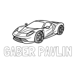 Pobarvanka imena GABER PAVLIN in pobarvanka dirkalnega avtomobila