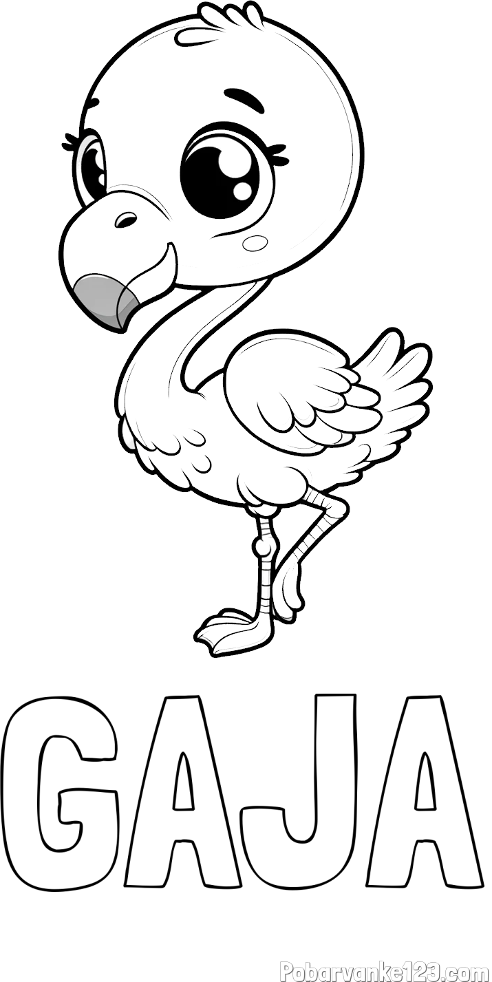 Pobarvanka imena GAJA in otroška pobarvanka flaminga