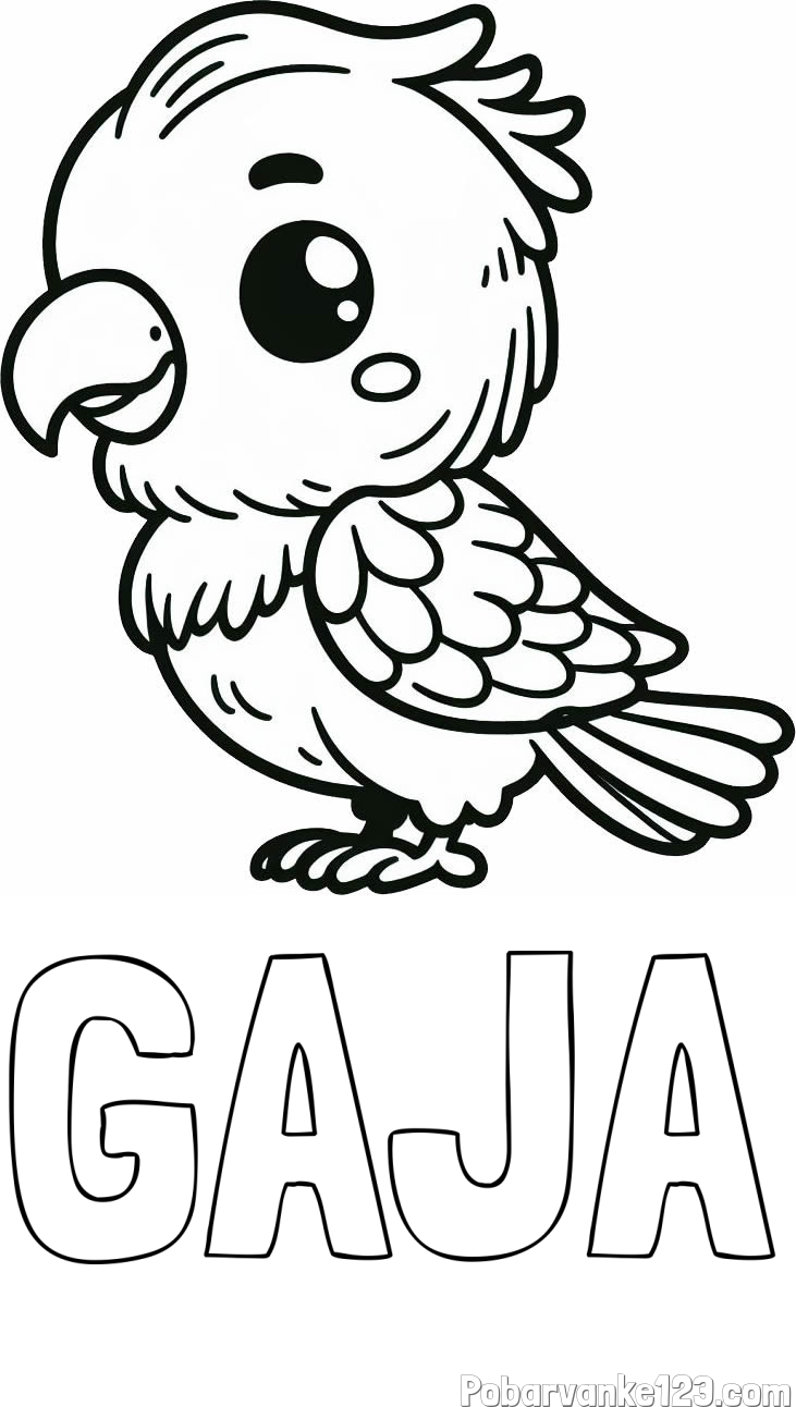Pobarvanka imena GAJA in pobarvanka ljubkega papagaja