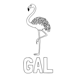 Online izdelana pobarvanka - Pobarvanka imena GAL in pobarvanka flaminga, ki stoji na eni nogi