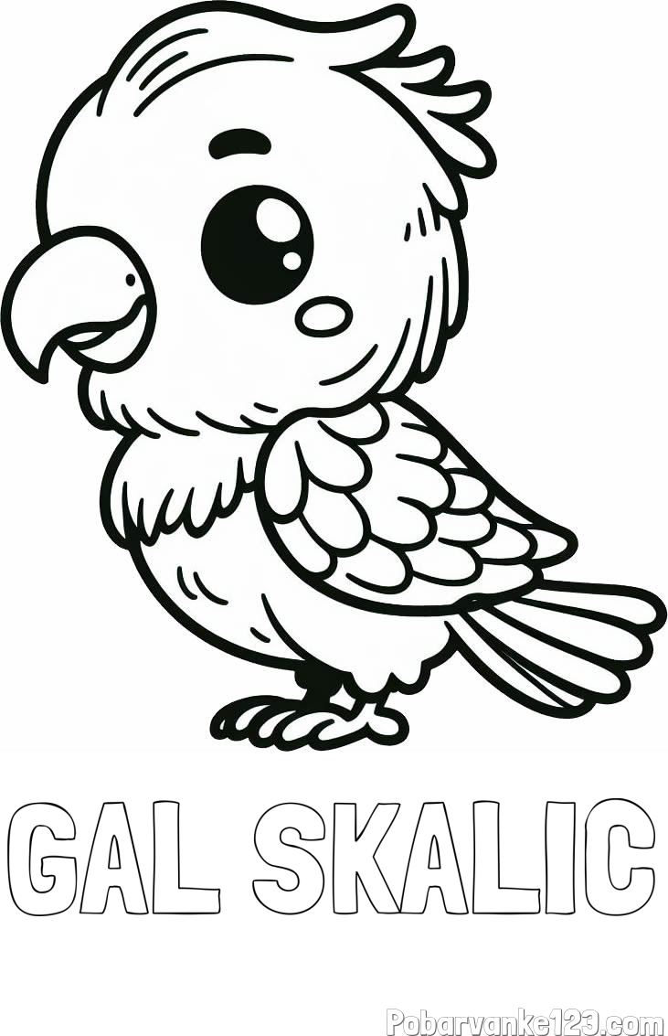 Pobarvanka imena GAL ŠKALIČ in pobarvanka ljubkega papagaja