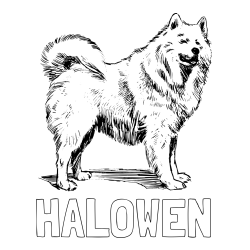 Online izdelana pobarvanka - Pobarvanka imena HALOWEN in pobarvanka čudovitega samojega