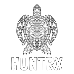 Online izdelana pobarvanka - Pobarvanka imena HUNTRX in pobarvanka želve - mandale