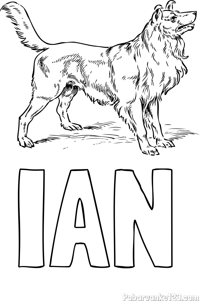 Pobarvanka imena IAN in pobarvanka prikupnega in prijaznega kužka