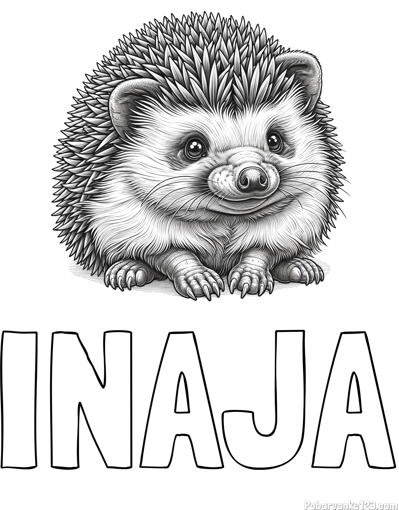 Pobarvanka imena INAJA in pobarvanka ježa