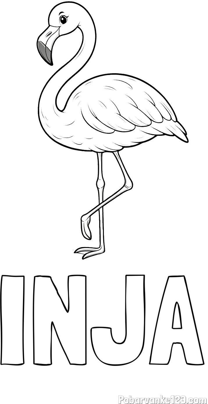 Pobarvanka imena INJA in pobarvanka flaminga