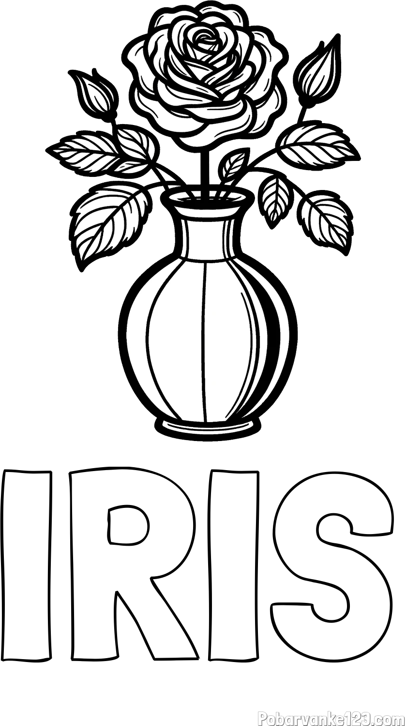 Pobarvanka imena IRIS in pobarvanka čudovite vrtnice v vazi