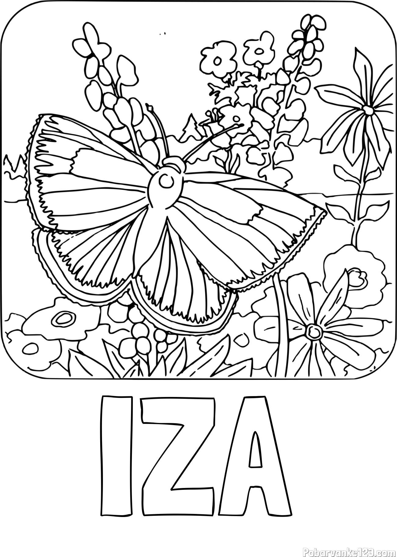 Pobarvanka imena IZA in pobarvanka metulja v naravi