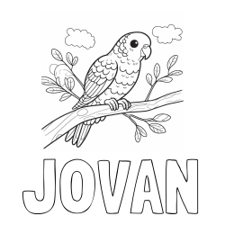 Online izdelana pobarvanka - Pobarvanka imena J0VAN in pobarvanka ljubkega kanarčka na veji