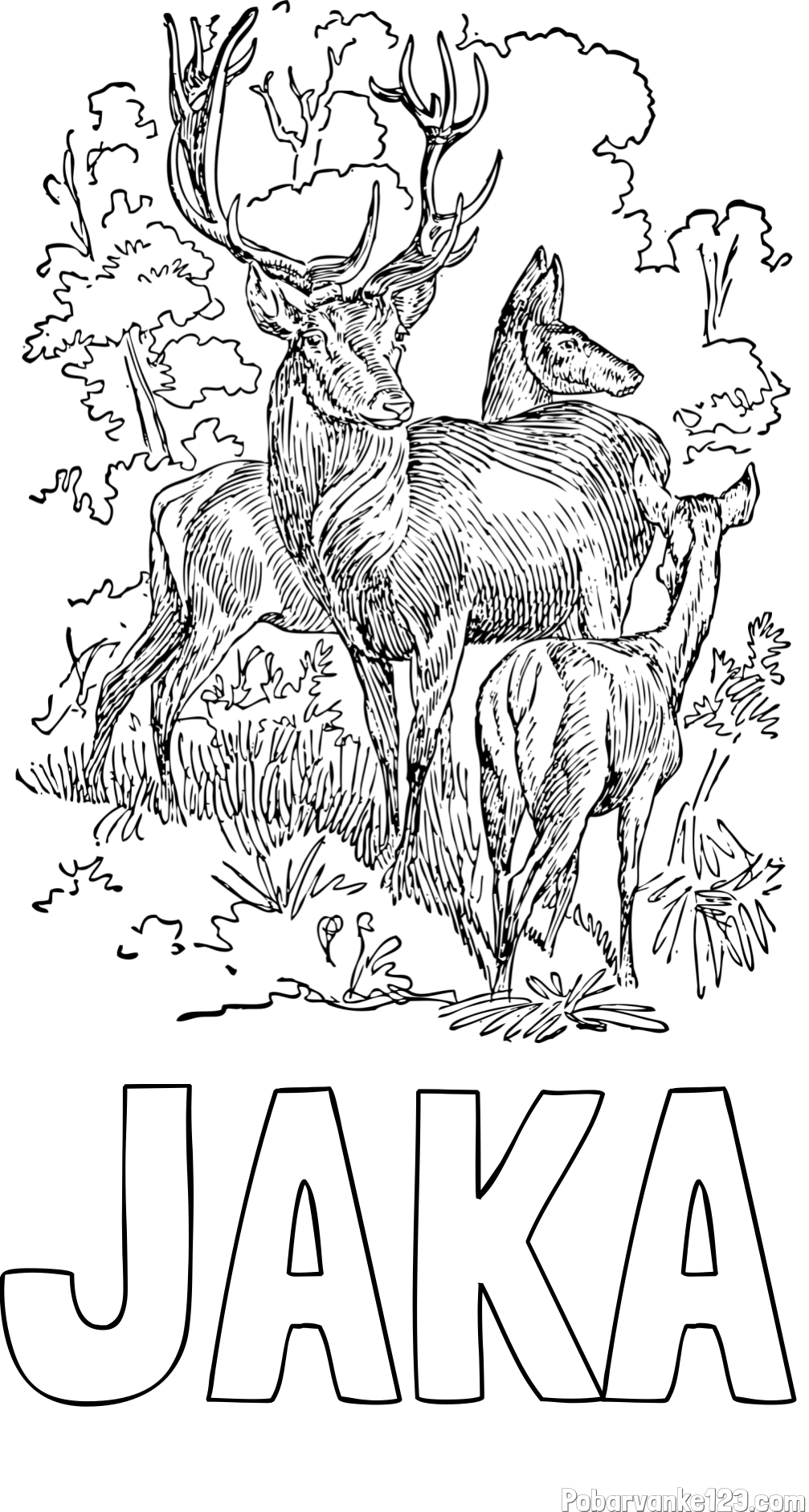 Pobarvanka imena JAKA in pobarvanka jelena, srne ter mladička