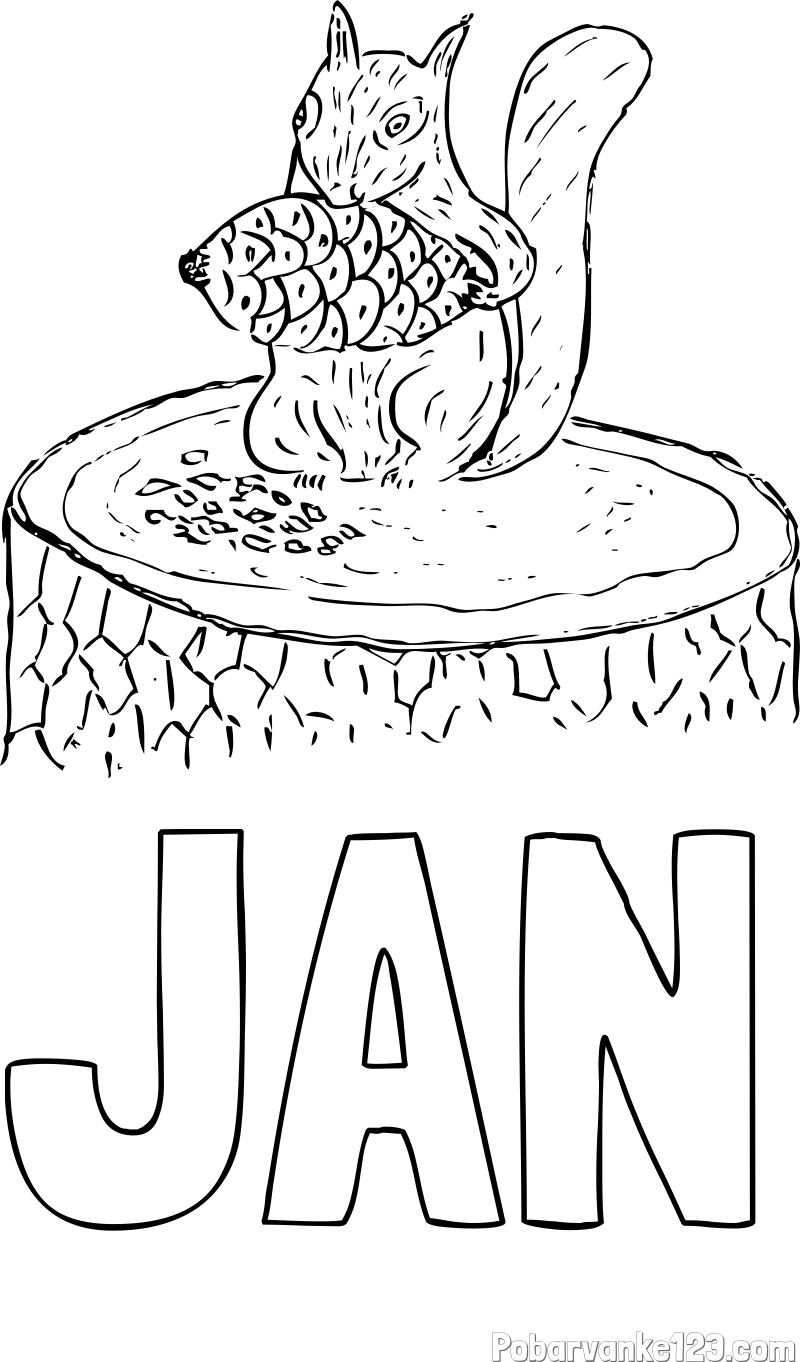 Pobarvanka imena JAN in pobarvanka veverice, ki je storž