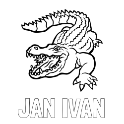 Online izdelana pobarvanka - Pobarvanka imena JAN IVAN in pobarvanka krokodila