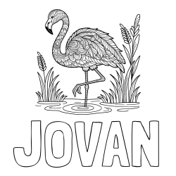 Online izdelana pobarvanka - Pobarvanka imena JOVAN in pobarvanka flaminga z abstraktnimi vzorci