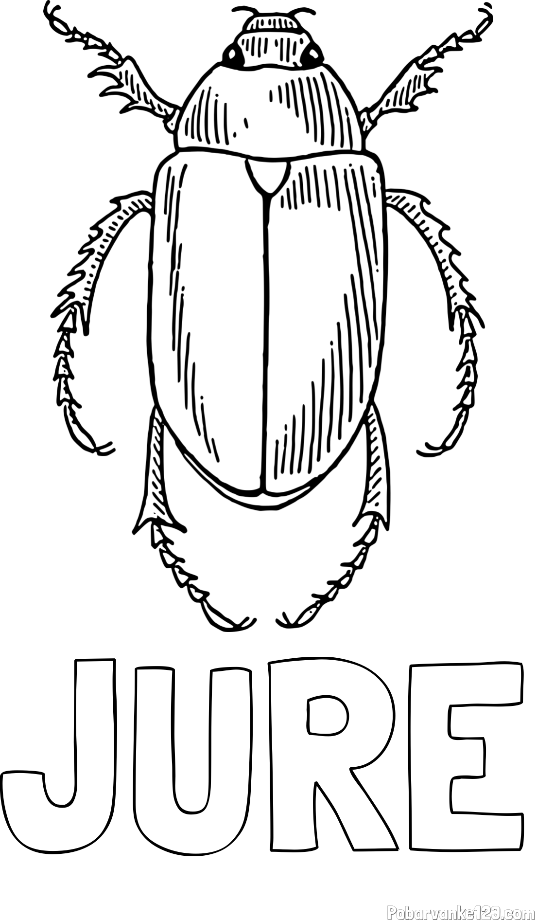 Pobarvanka imena JURE in pobarvanka hrošča