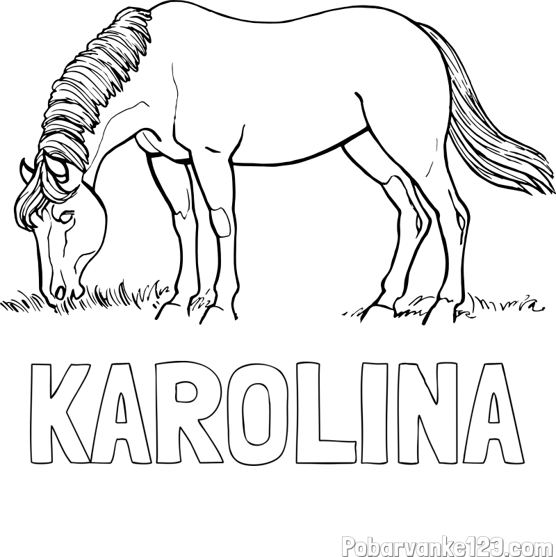 Pobarvanka imena KAROLINA in pobarvanka konja med pašo