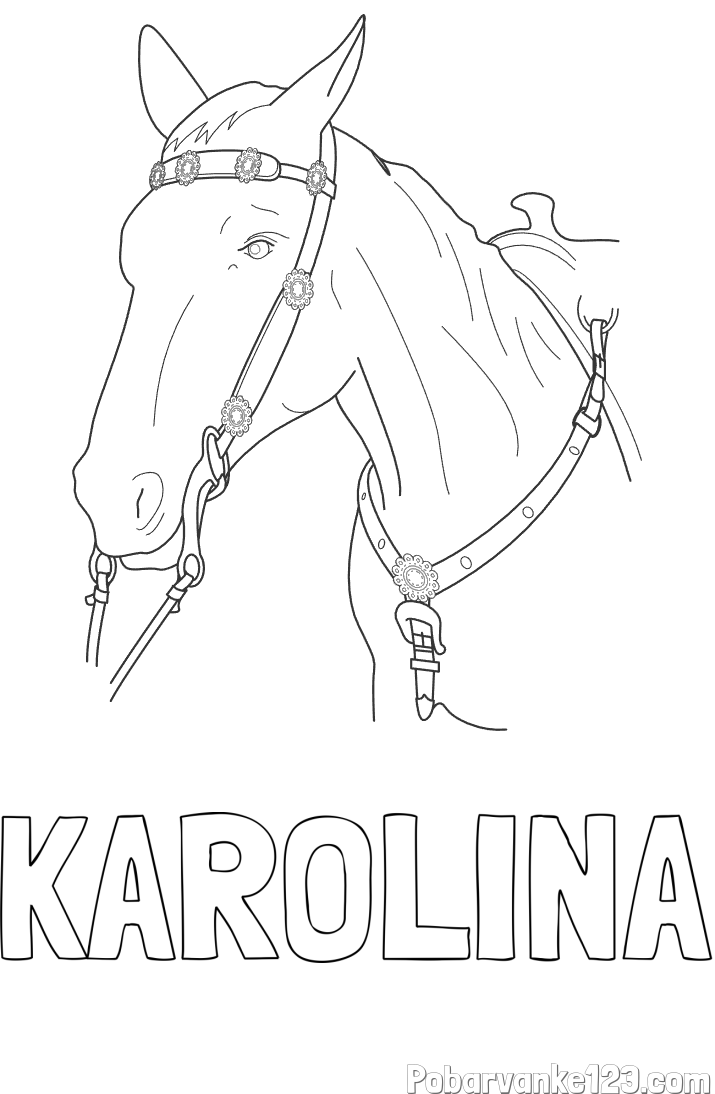 Pobarvanka imena KAROLINA in pobarvanka konjske glave