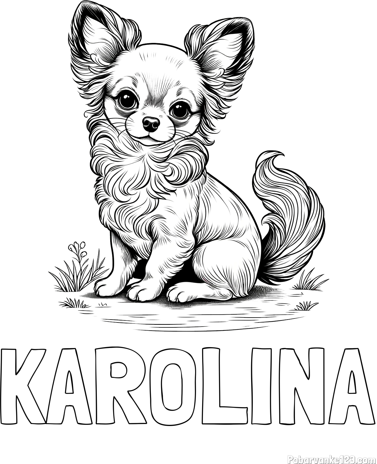 Pobarvanka imena KAROLINA in pobarvanka ljubke čivave