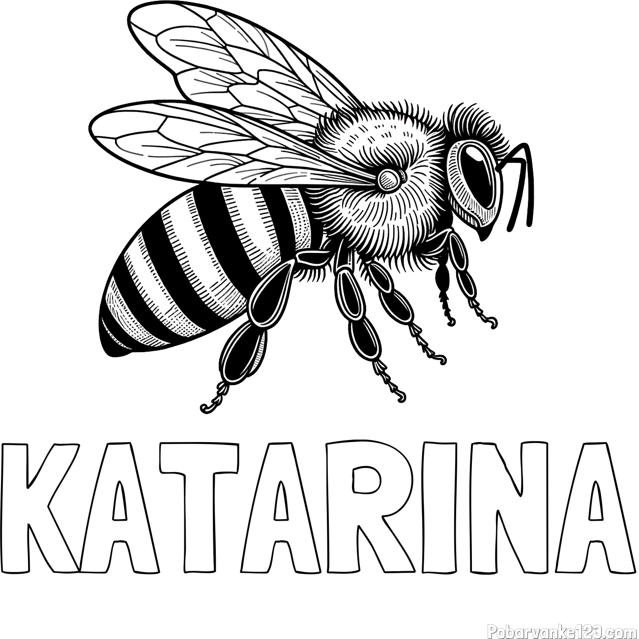 Pobarvanka imena KATARINA in pobarvanka realistične čebele