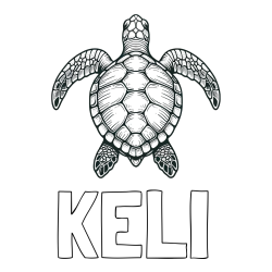 Online izdelana pobarvanka - Pobarvanka imena KELI in enostavna pobarvanka želve
