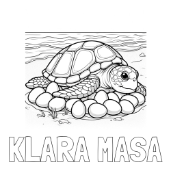 Online izdelana pobarvanka - Pobarvanka imena KLARA MAŠA in pobarvanka želve na obali