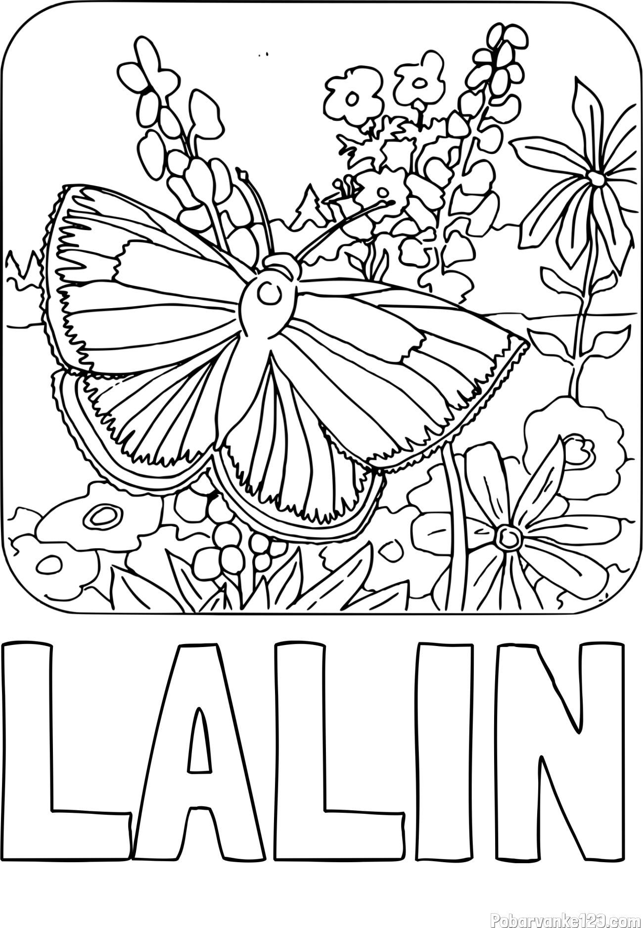 Pobarvanka imena LALIN in pobarvanka metulja v naravi