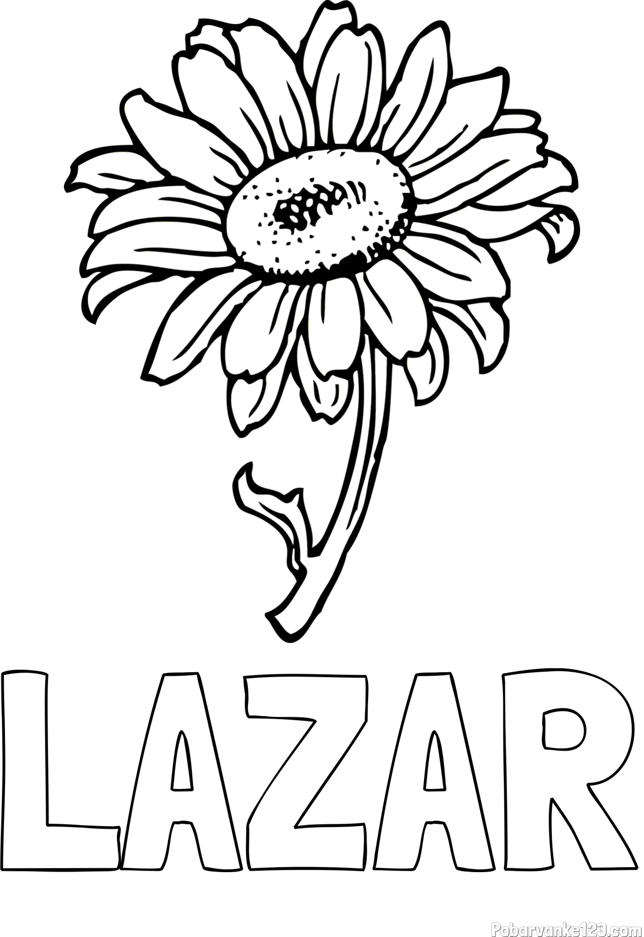 Pobarvanka imena LAZAR in pobarvanka lepe sončnice