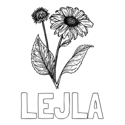 Online izdelana pobarvanka - Pobarvanka imena LEJLA in pobarvanka sončnice