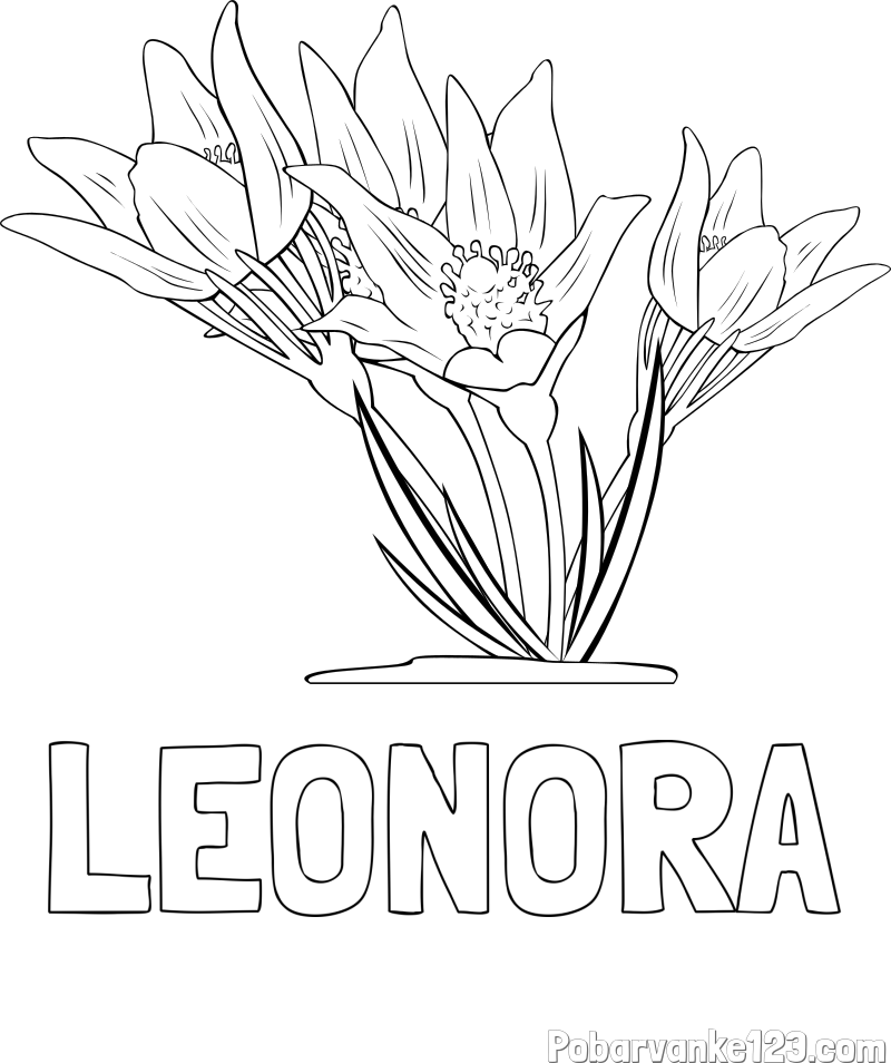 Pobarvanka imena LEONORA in pobarvanka lepe rože