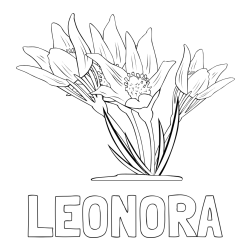 Online izdelana pobarvanka - Pobarvanka imena LEONORA in pobarvanka lepe rože