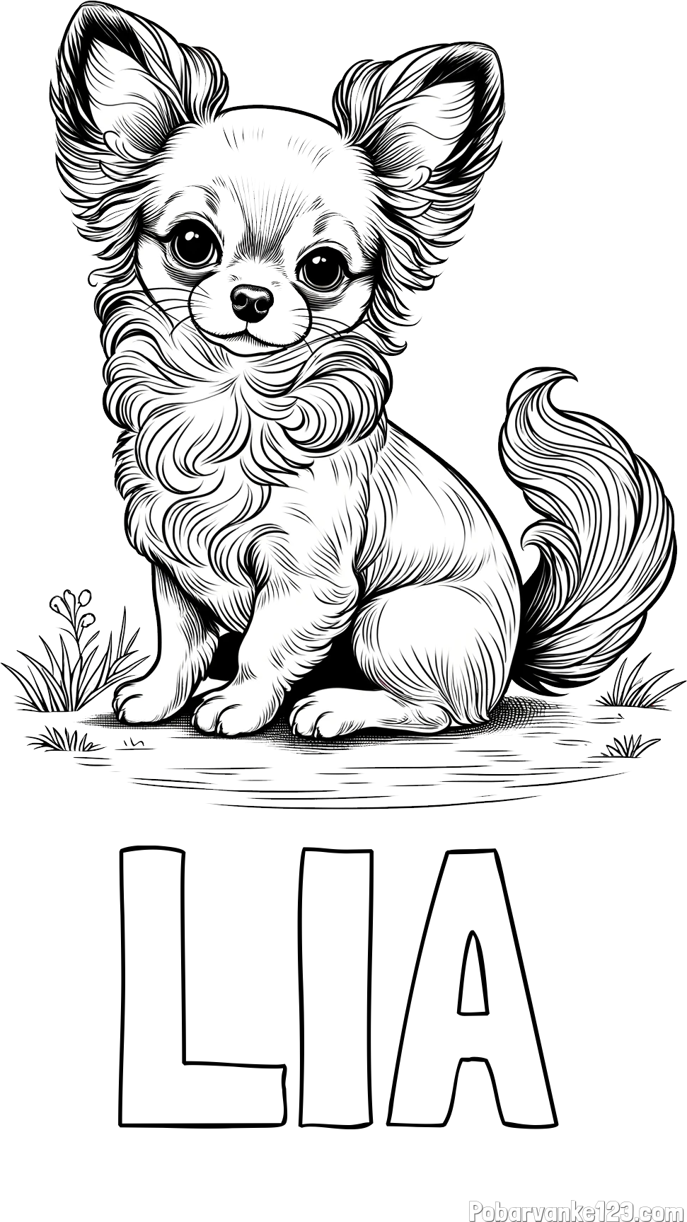 Pobarvanka imena LIA in pobarvanka ljubke čivave