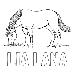 Online izdelana pobarvanka - Pobarvanka imena LIA LANA in pobarvanka konja med pašo